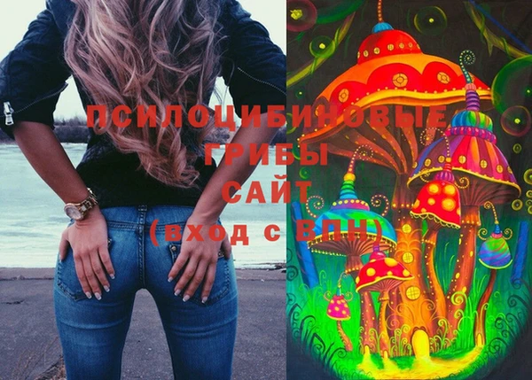 спиды Данков
