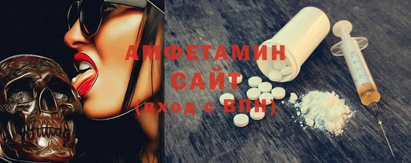 индика Вязники