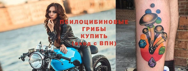 индика Вязники