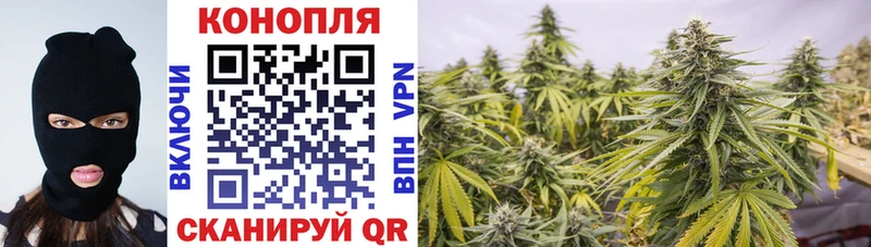 Шишки марихуана OG Kush  Жердевка 